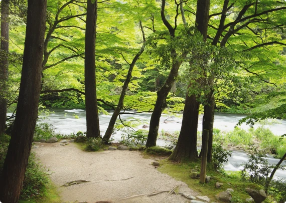 写真：鶴仙渓