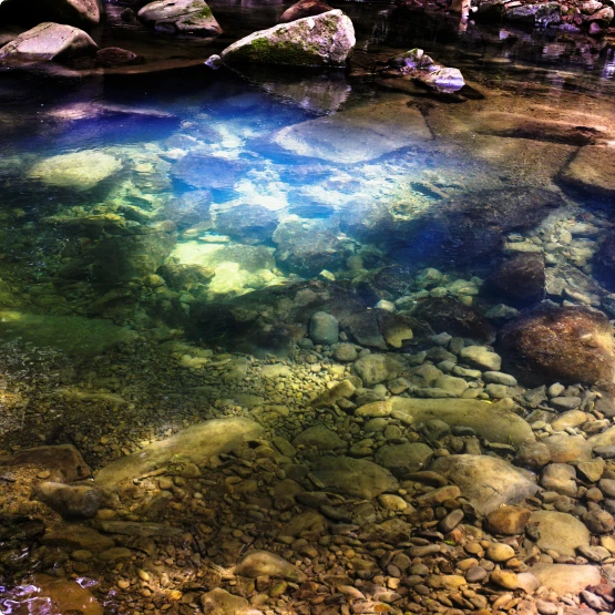 写真：観光